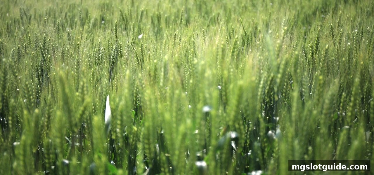 mg电子游戏攻略深度解析:首存奖励全貌与数字货币风向标