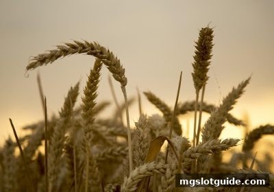 高额优惠回馈全解析：mg电子游戏攻略教你识破返水背后的真实逻辑