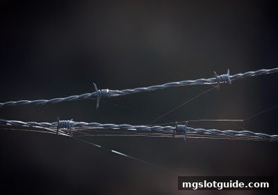 mg电子游戏攻略：识别即时比分中的违规平台，保障娱乐安全